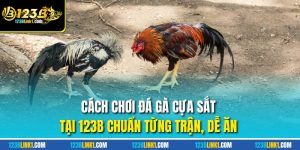 Đá gà cựa sắt tại 123B, kèo đá gà đa dạng, thưởng cao