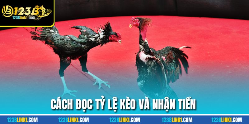 Cách đọc tỷ lệ kèo và nhận tiền 