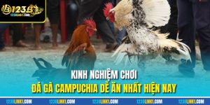 Đá gà Campuchia kinh nghiệm chơi đá gà hiệu quả
