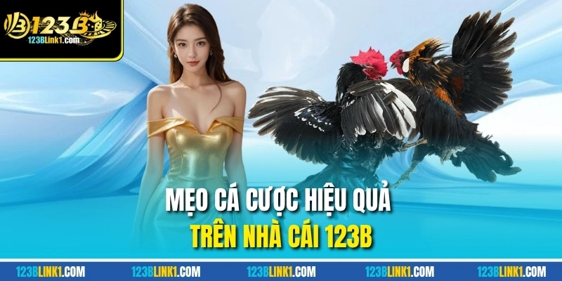 Đá Gà 123B – Sân Chơi Uy Tín Cho Cược Thủ Đam Mê Gà Chiến 13 Mẹo cá cược hiệu quả trên nhà cái 123B